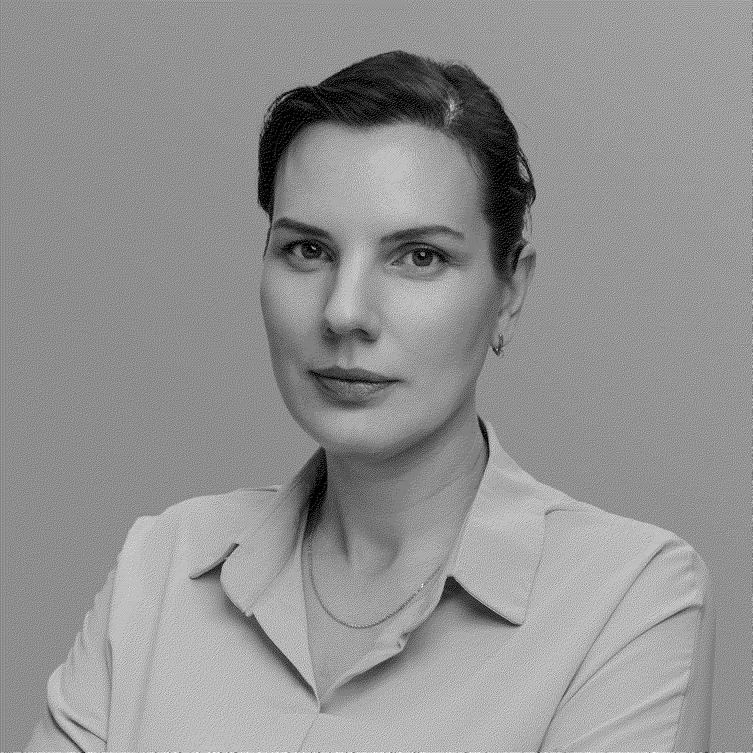 Юлия Амоскина