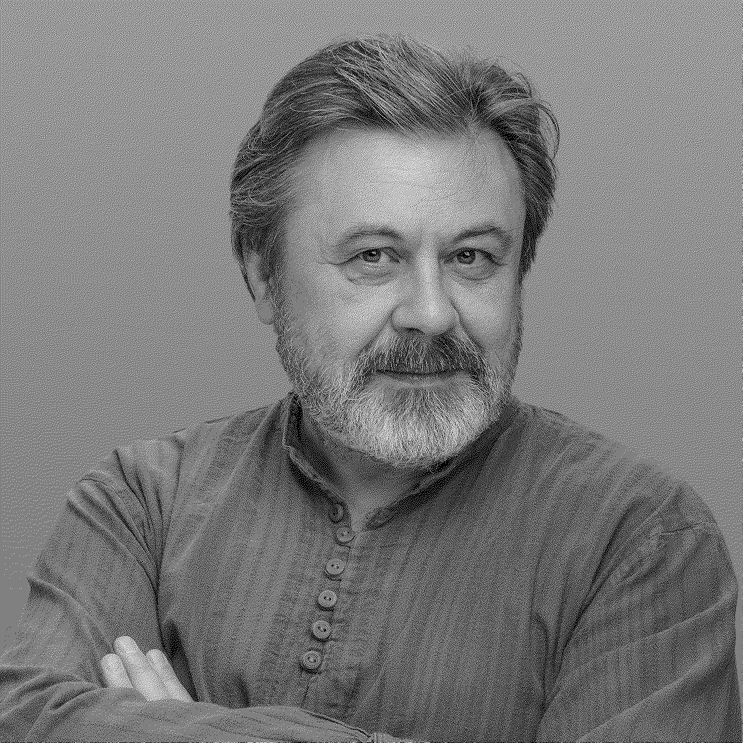 Роман Чермашенцев