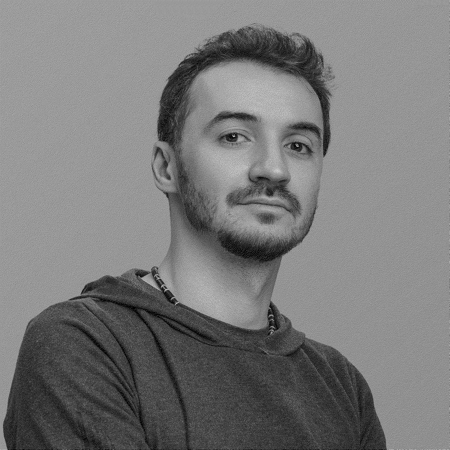 Евгений Станкович