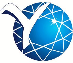 Федеральное государственное автономное образовательное учреждение высшего образования «Северо-Восточный федеральный университет имени М.К. Аммосова»