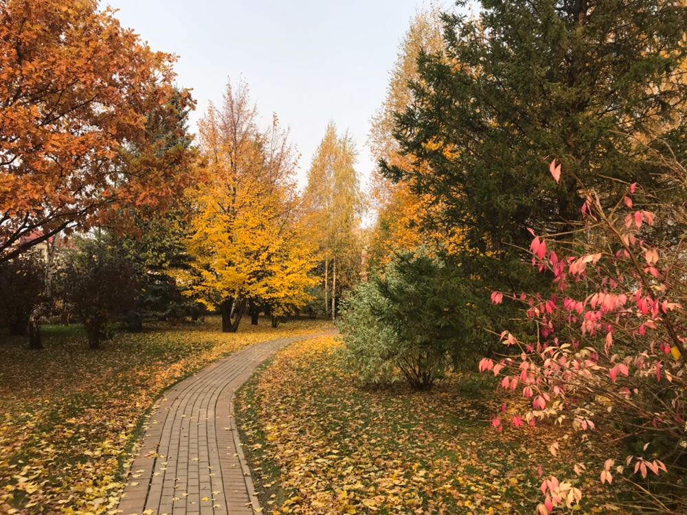 Последнее тепло в столице