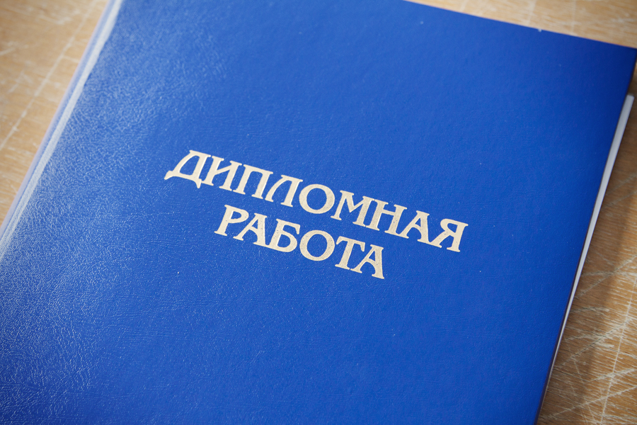 Разработан законопроект о публикации студенческих дипломов в интернете