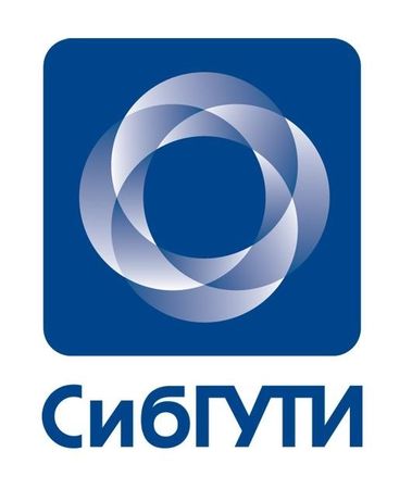 Федеральное государственное бюджетное образовательное учреждение высшего образования «Сибирский государственный университет телекоммуникаций и информатики»