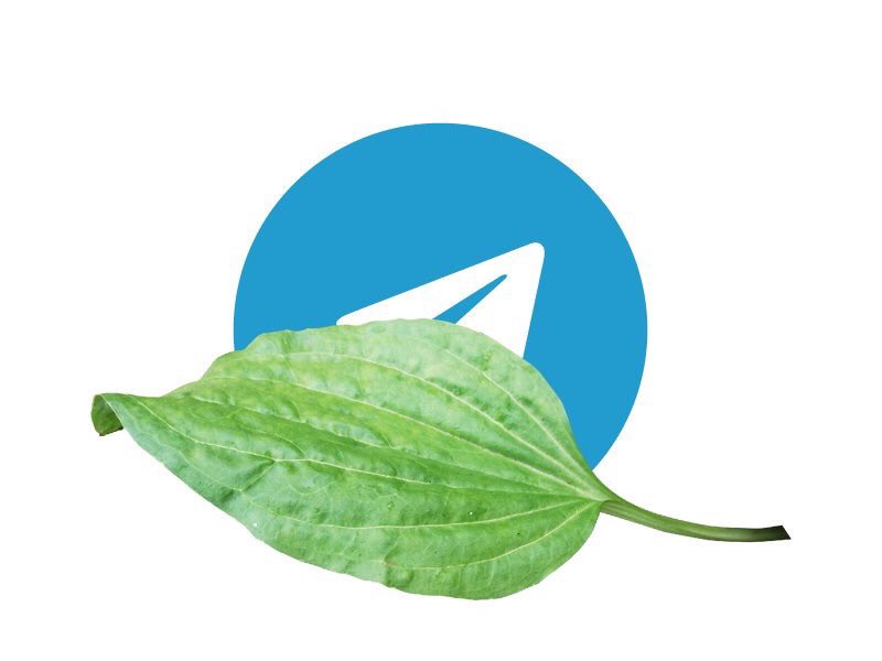 Почему Telegram сломался?
