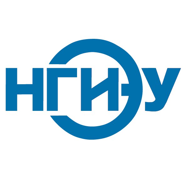 Государственное бюджетное образовательное учреждение высшего образования "Нижегородский государственный инженерно-экономический университет"