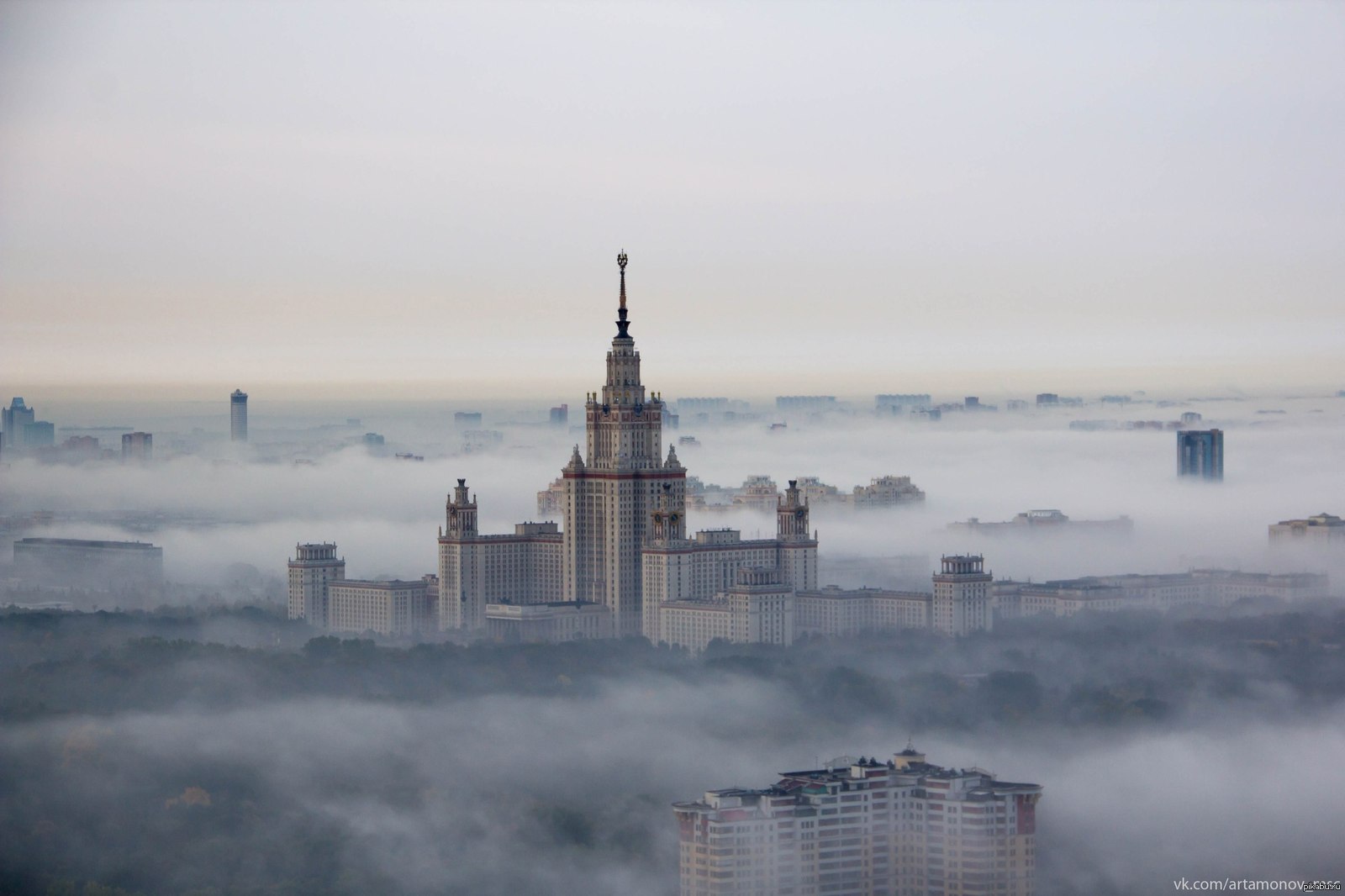 Откуда чаще всего переезжают в Москву?