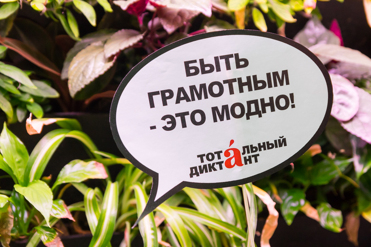 Открылась регистрация на «Тотальный диктант»