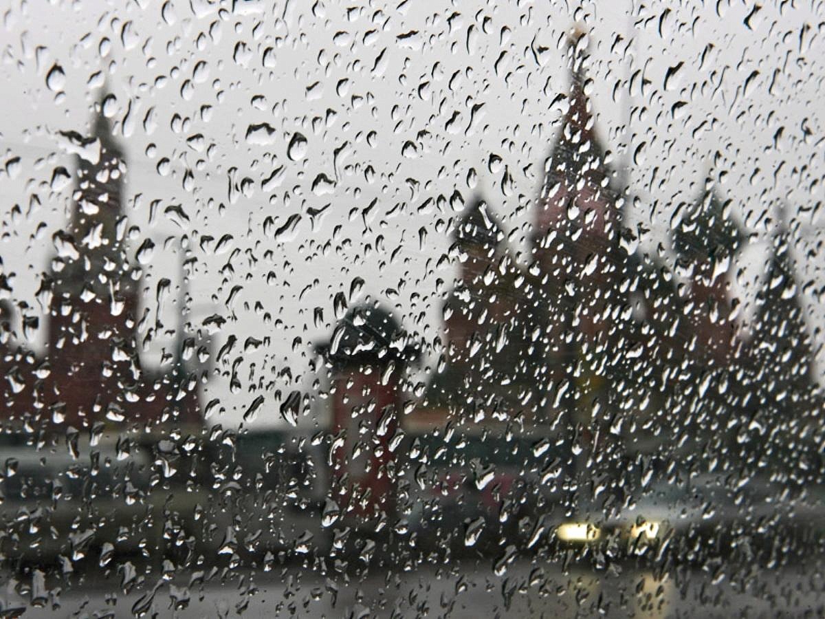 Метеорологи «Фобос»: лета в Центральной России уже не будет