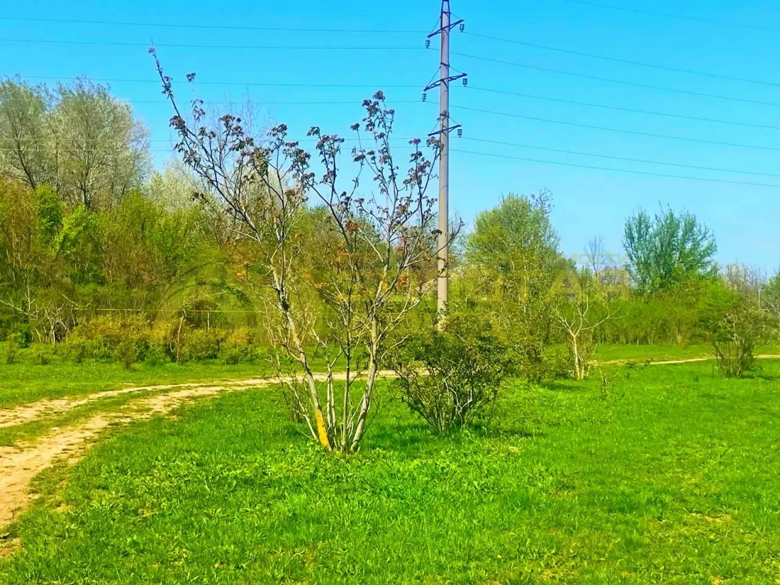участок