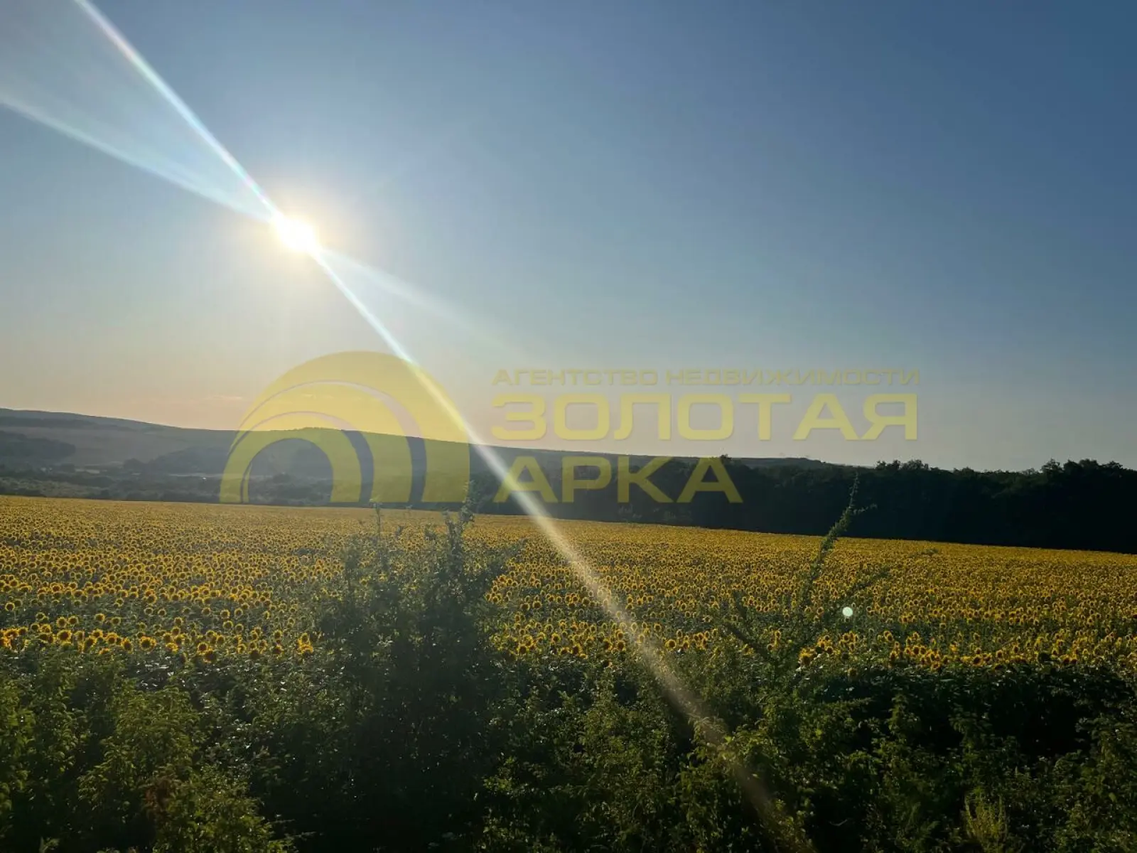 дом