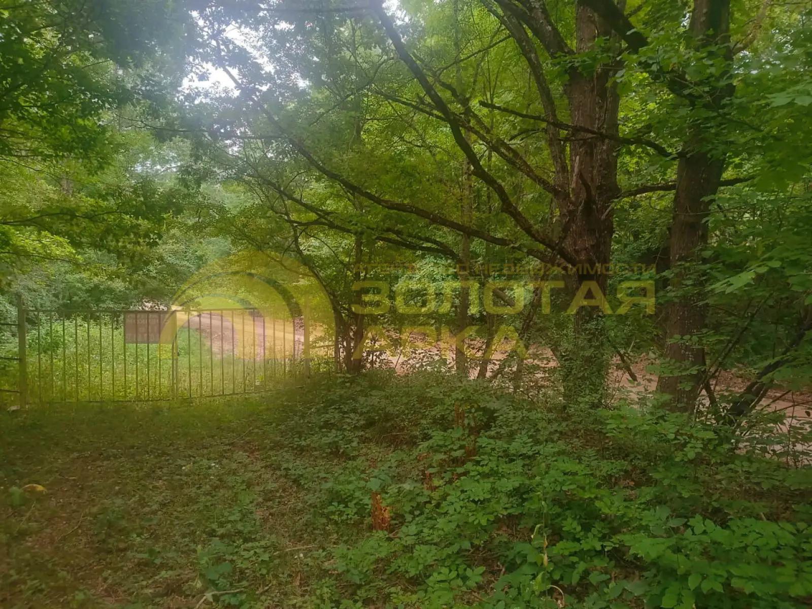 участок