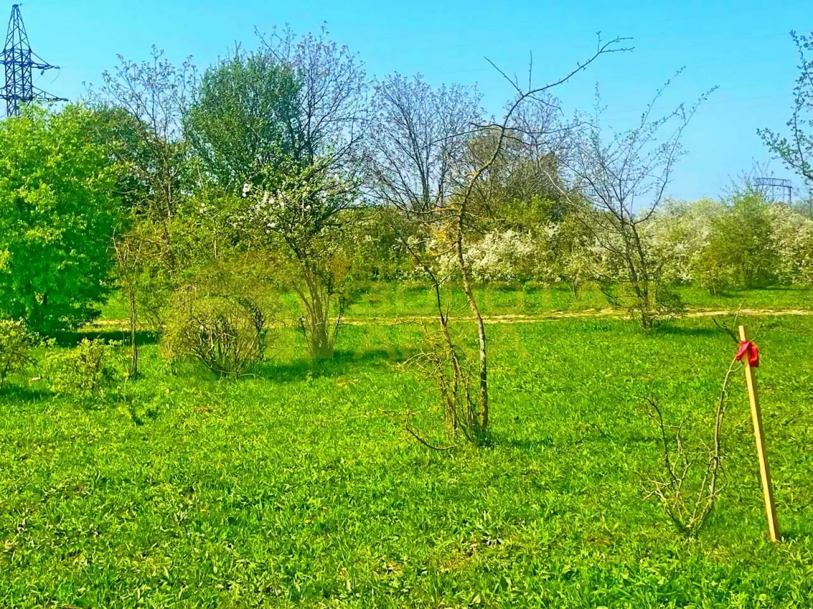 участок