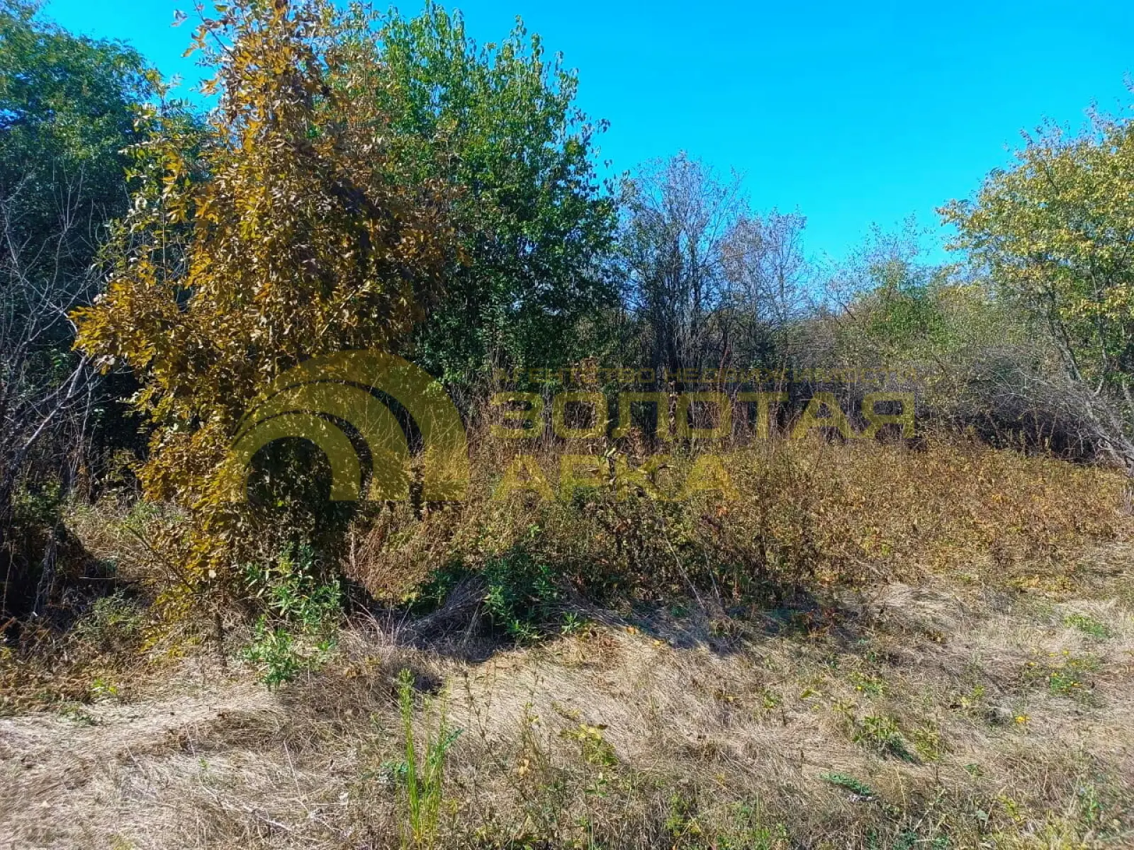 участок