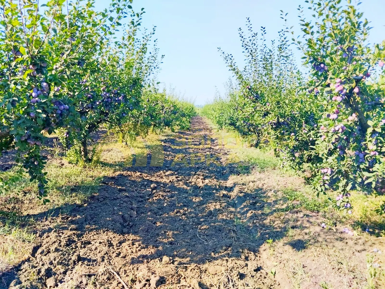 коммерческая