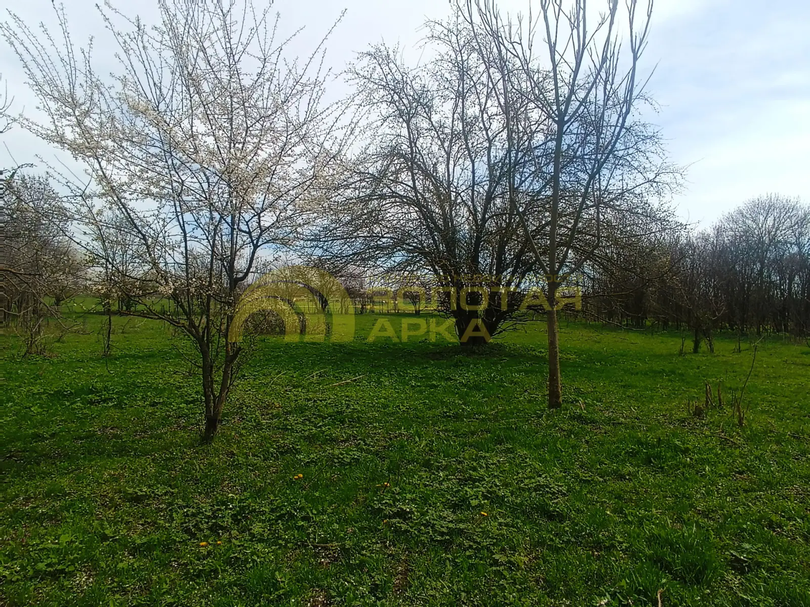 участок