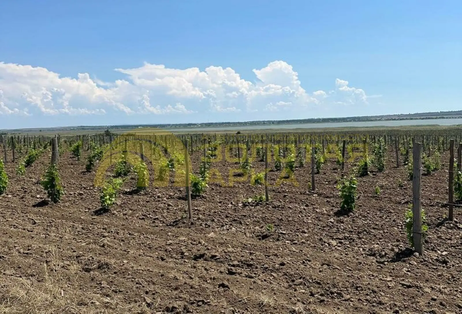 участок