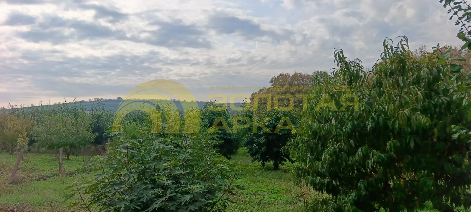 участок