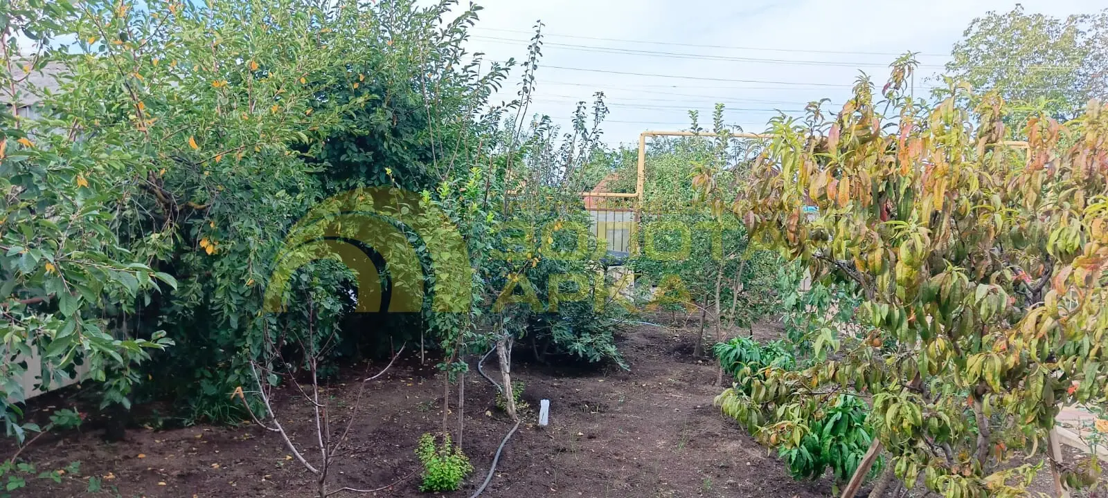 дом