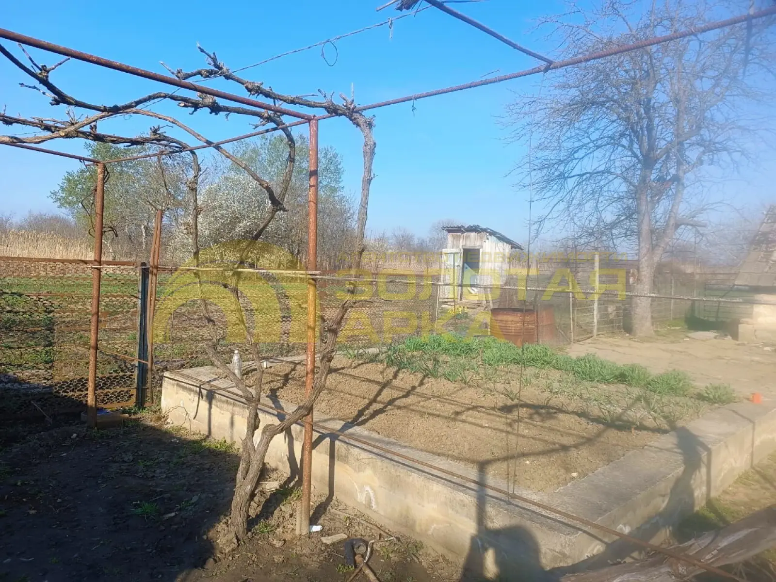 дом