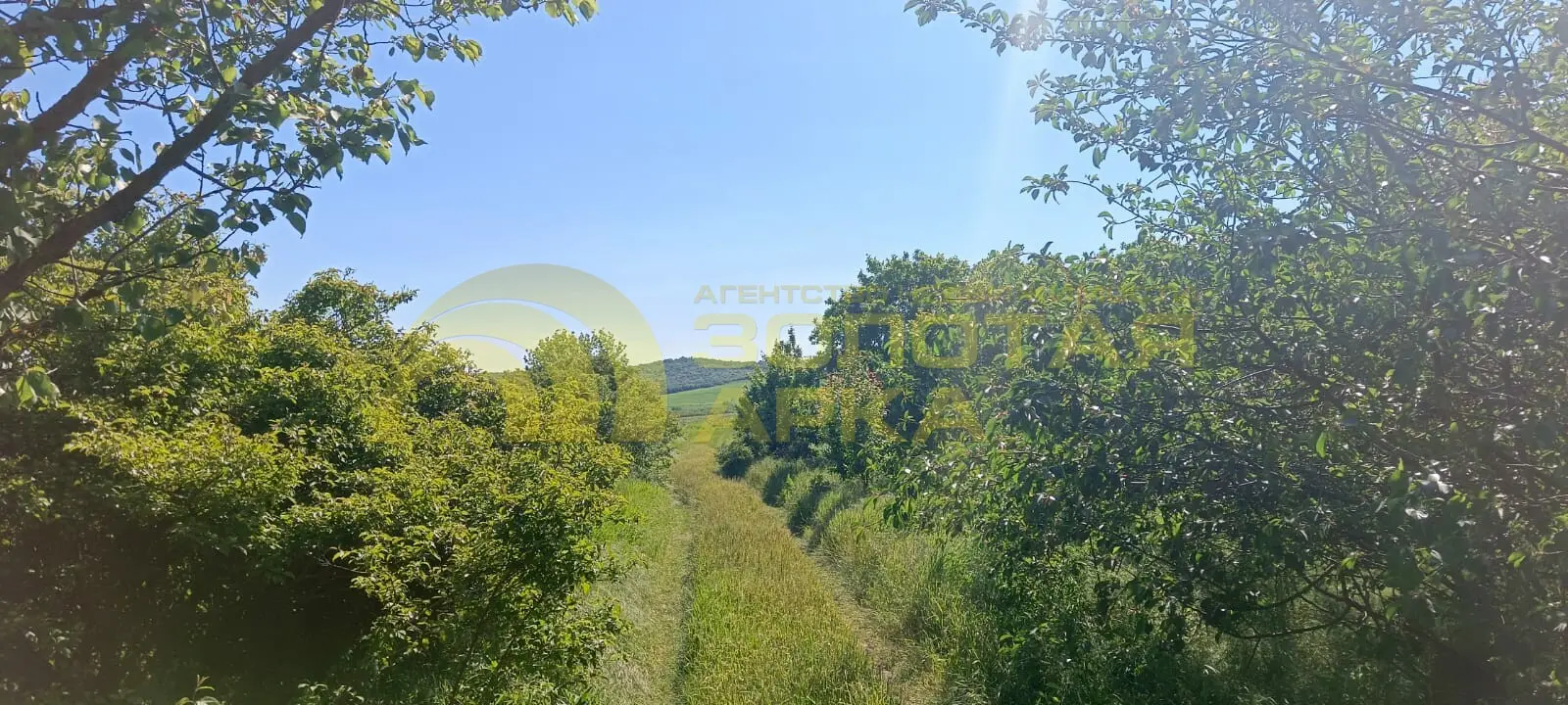 участок