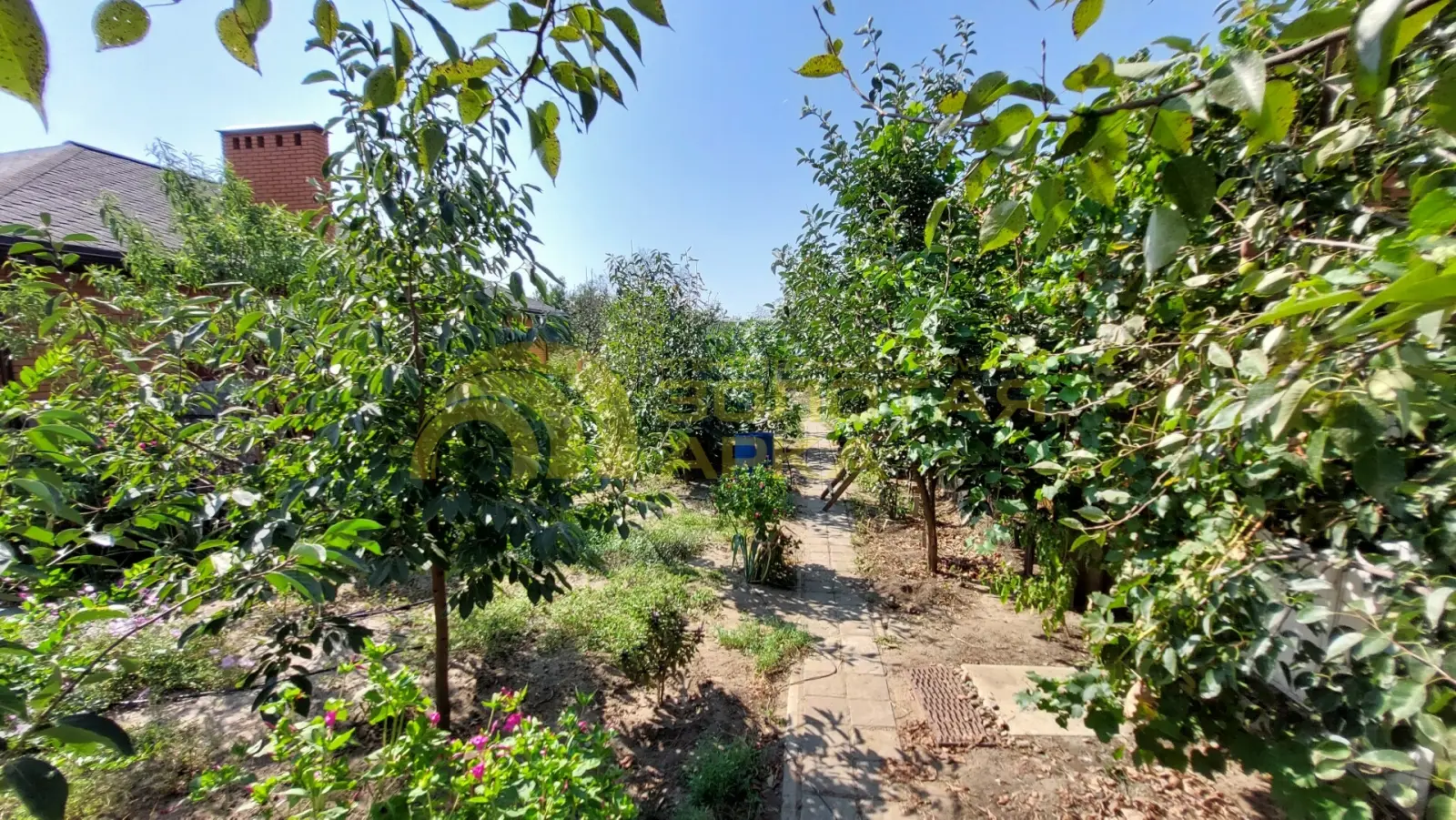 дом