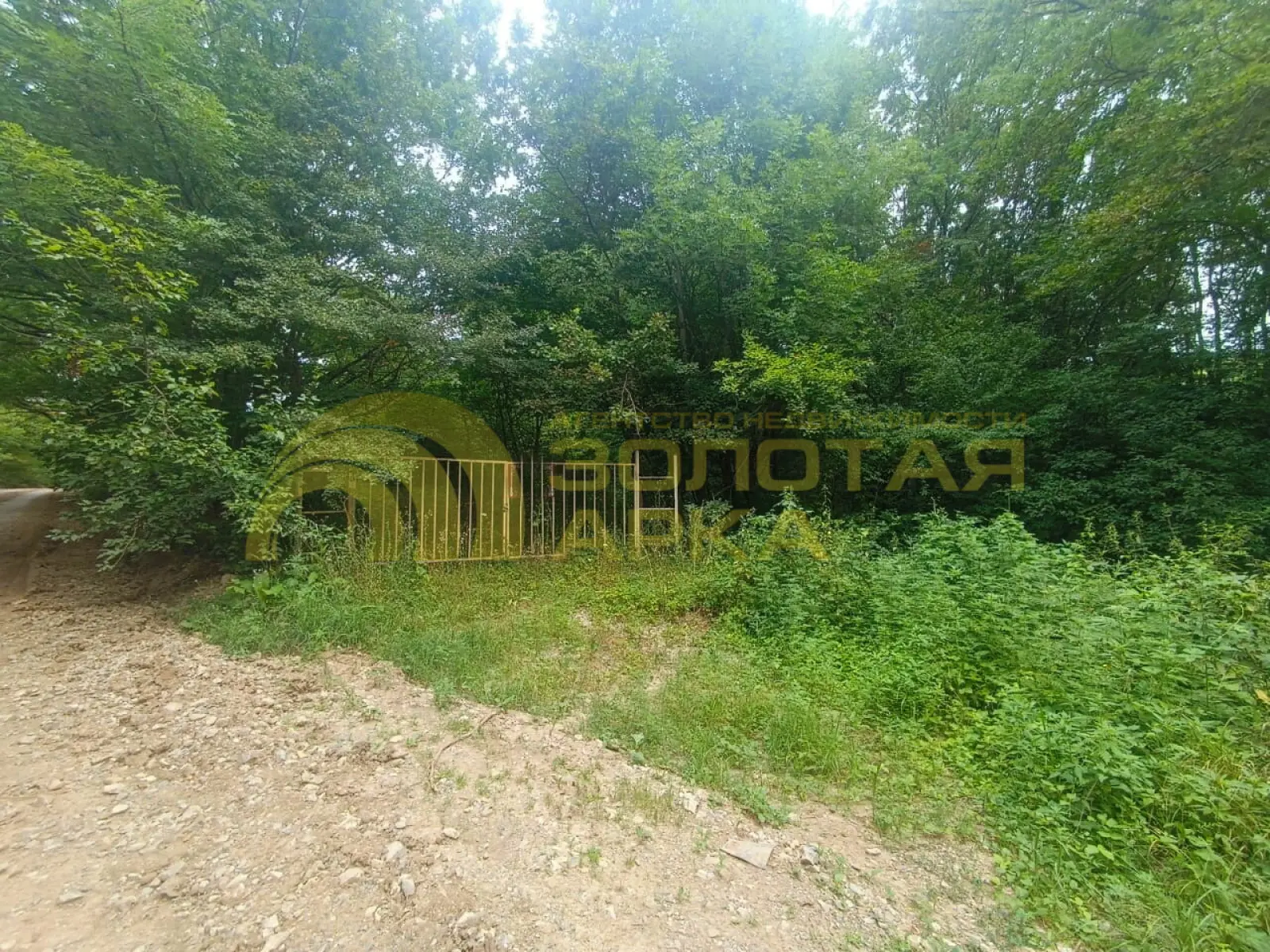 участок