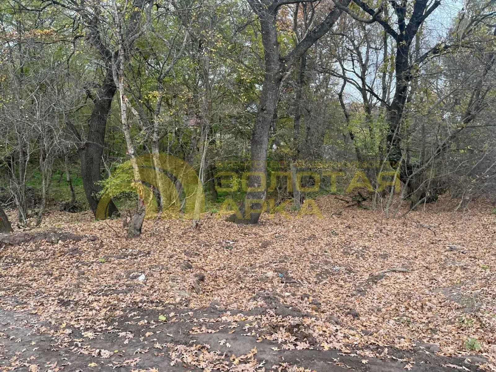 участок