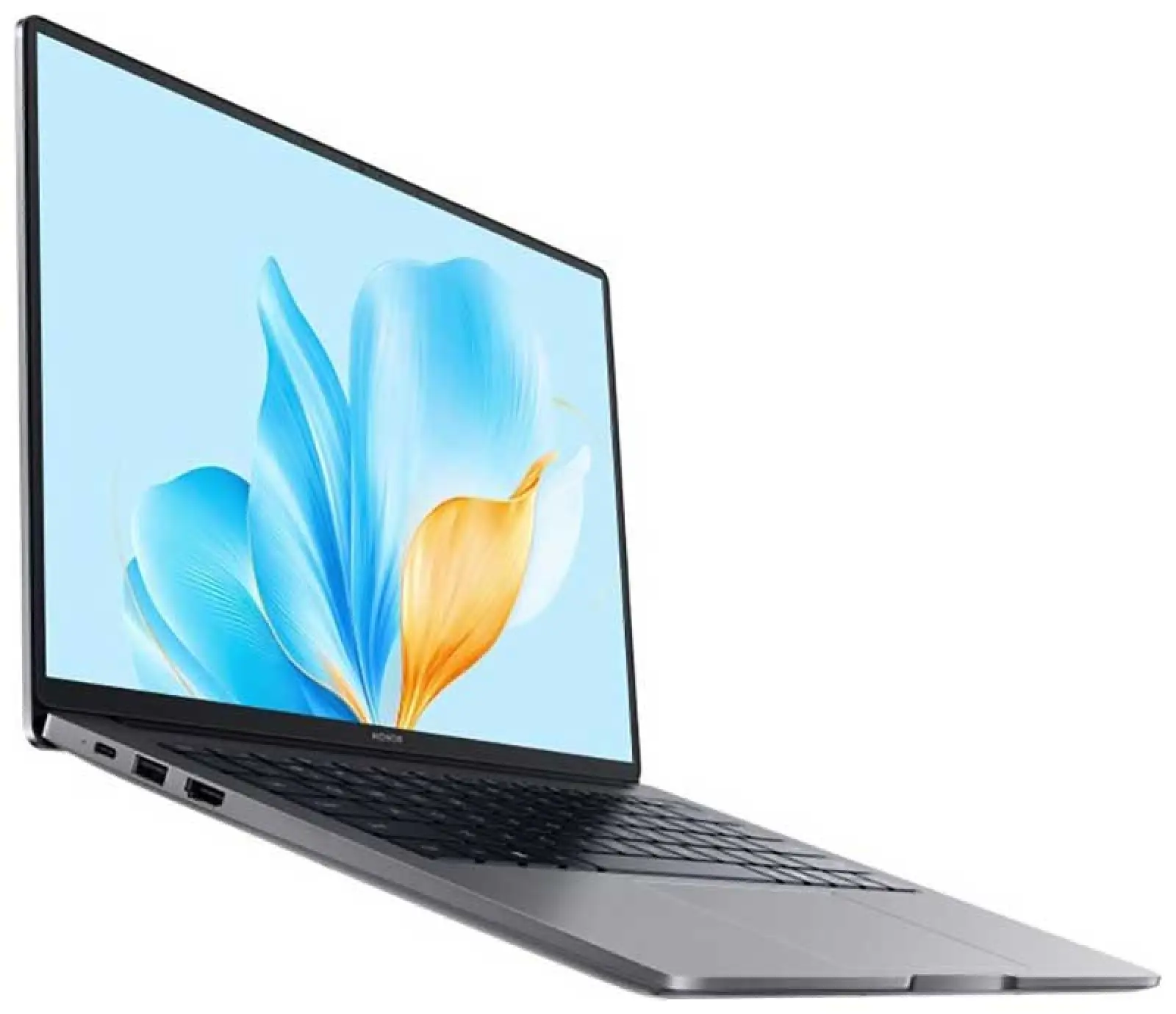 Ноутбук Honor MagicBook X14 2025 (5301ALXL), серый