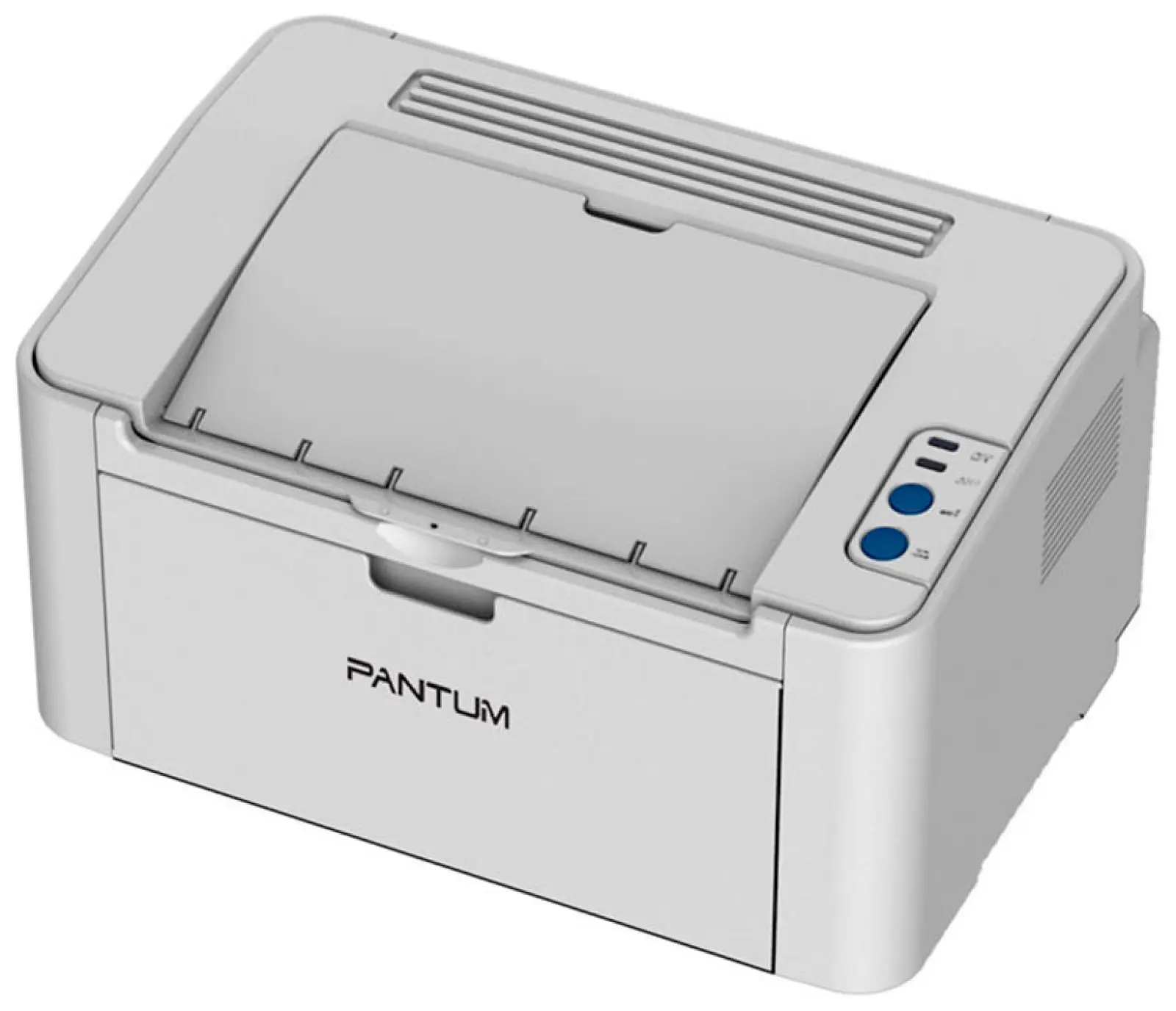 Принтер Pantum P 2200 серый