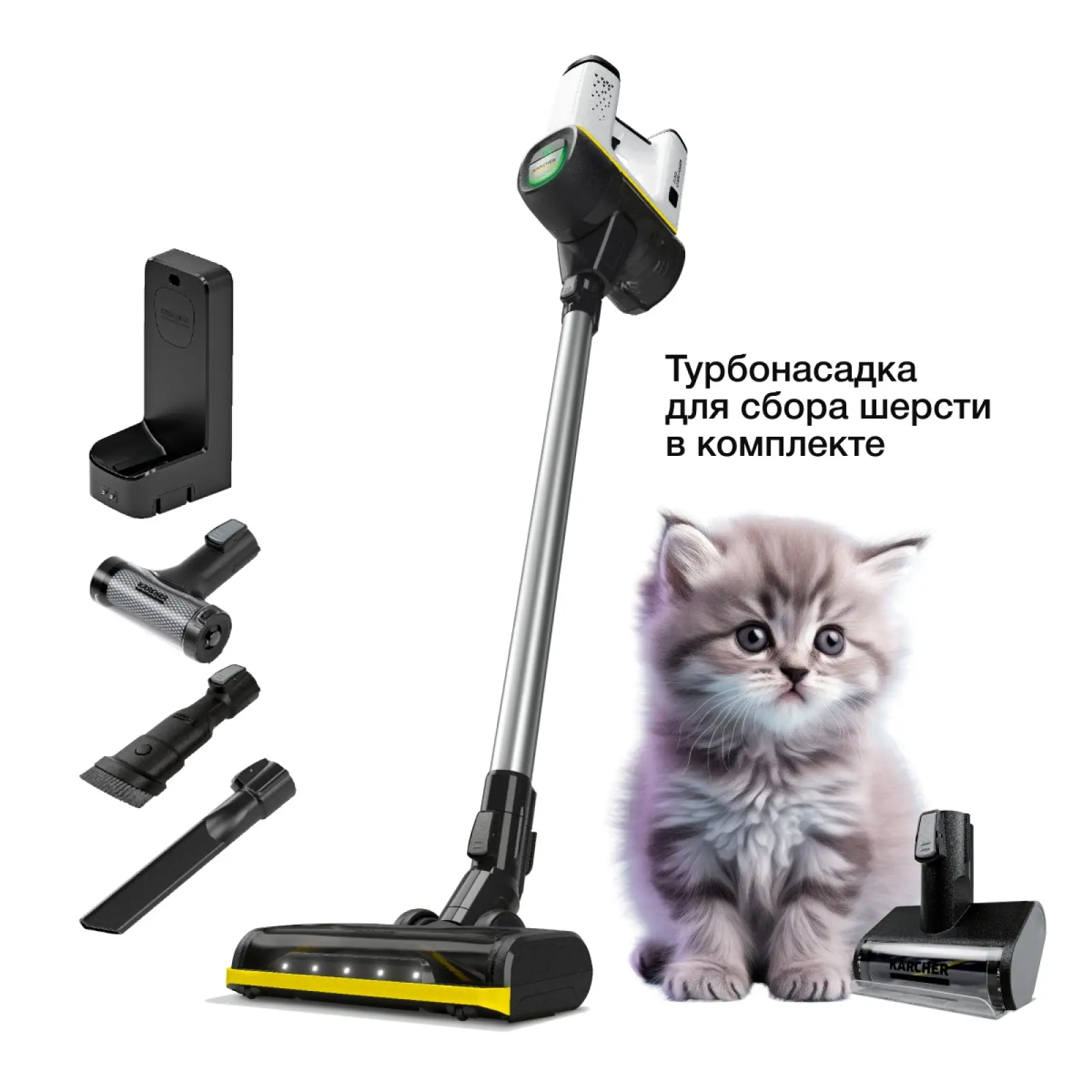 Вертикальный пылесос Karcher VC 6 Cordless ourFamily Pet, для сухой уборки (1.198-673.0)