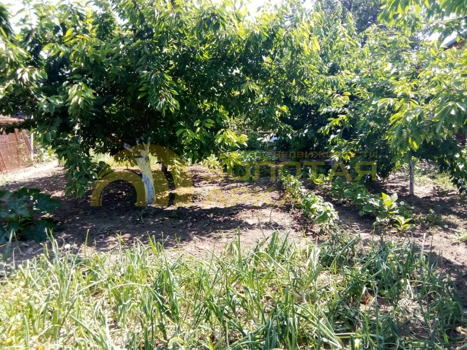 участок