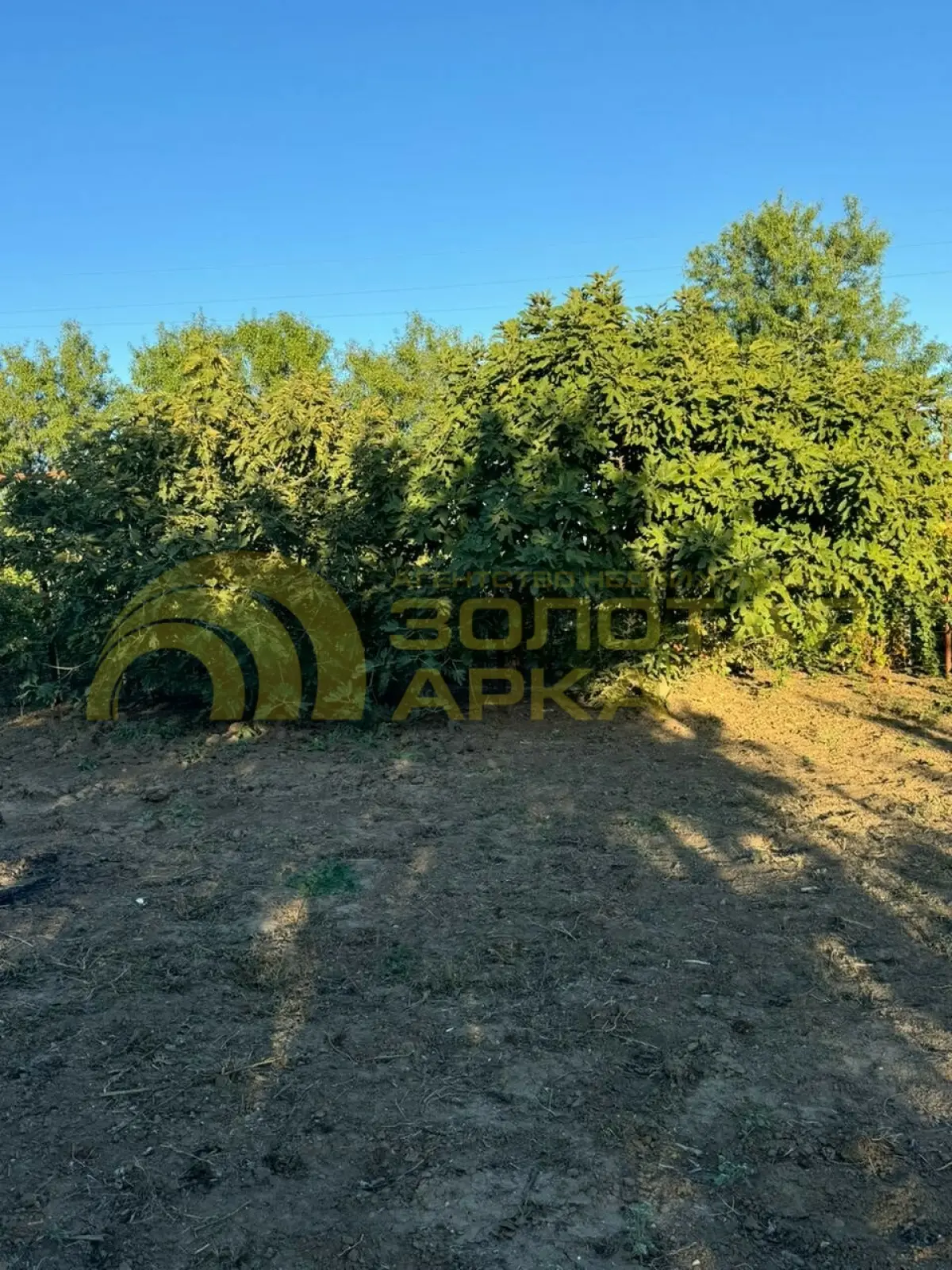 участок