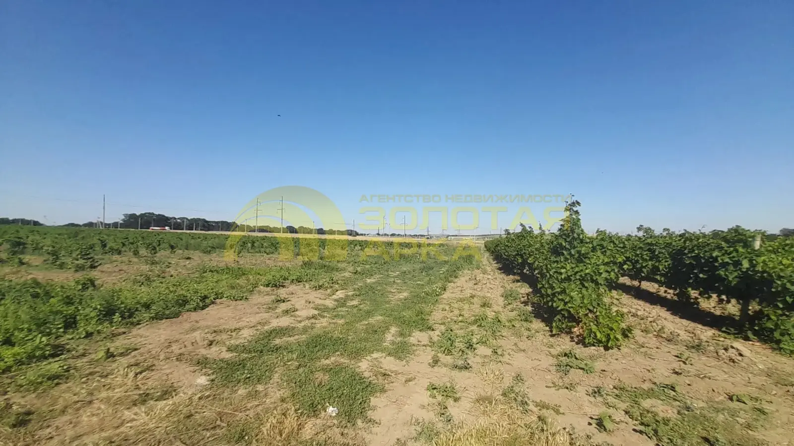 участок