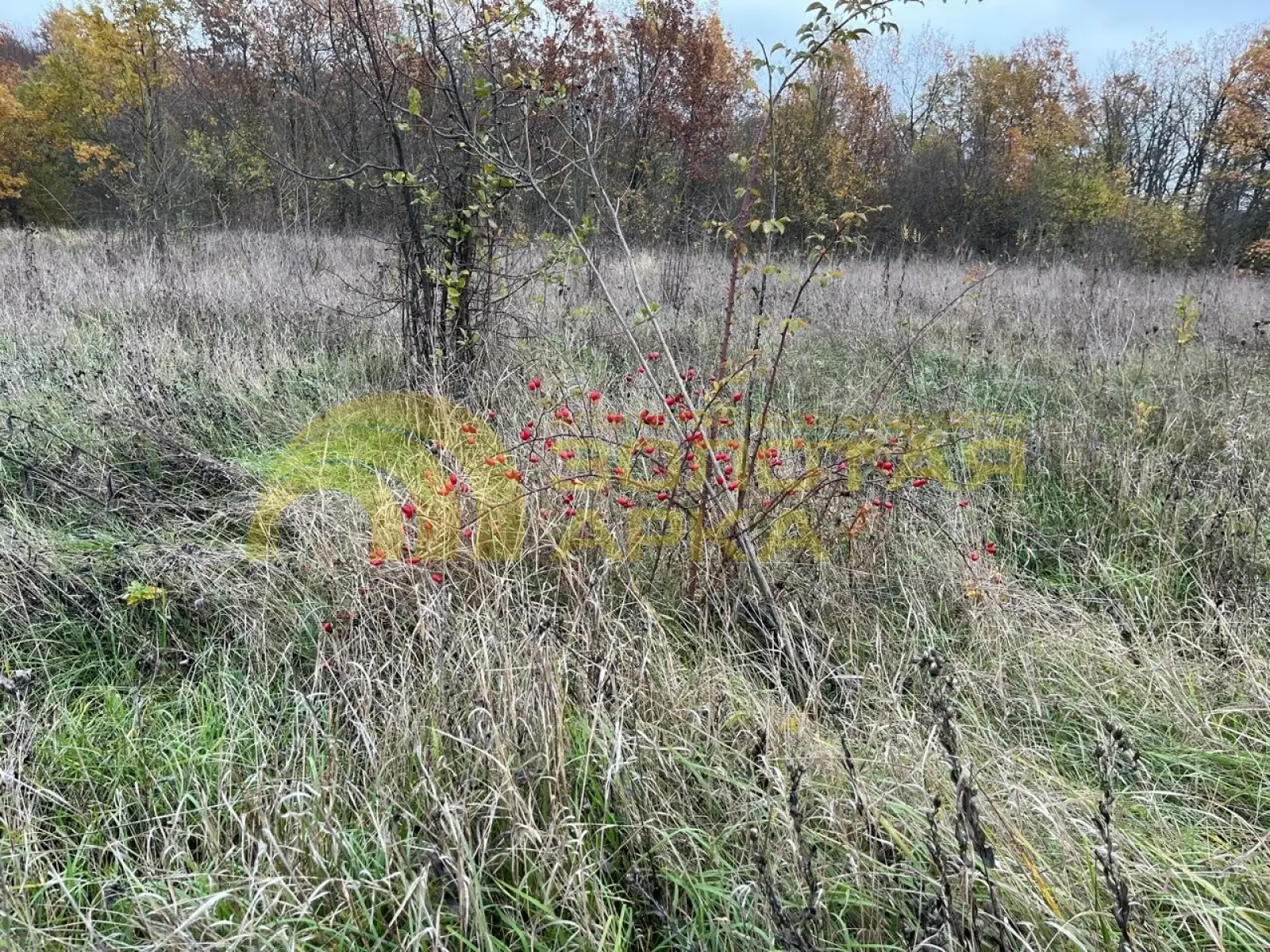 участок