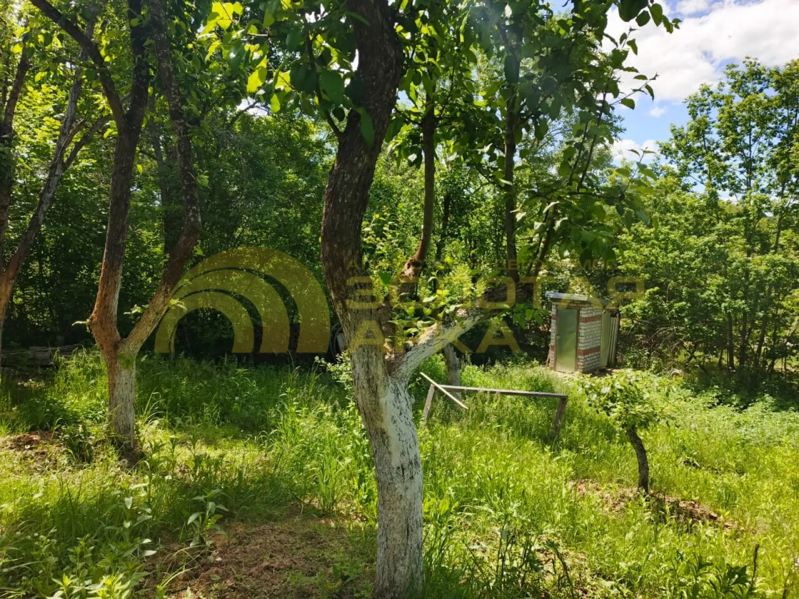 участок