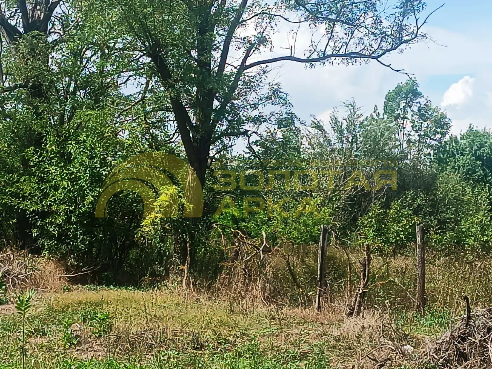 участок