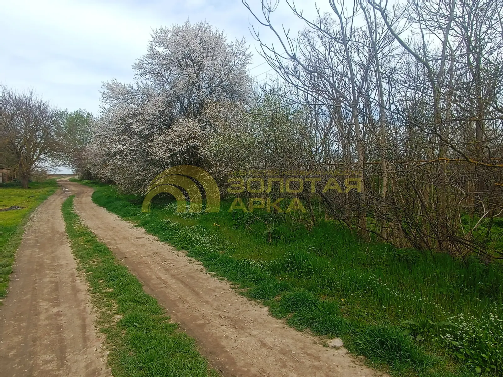 участок