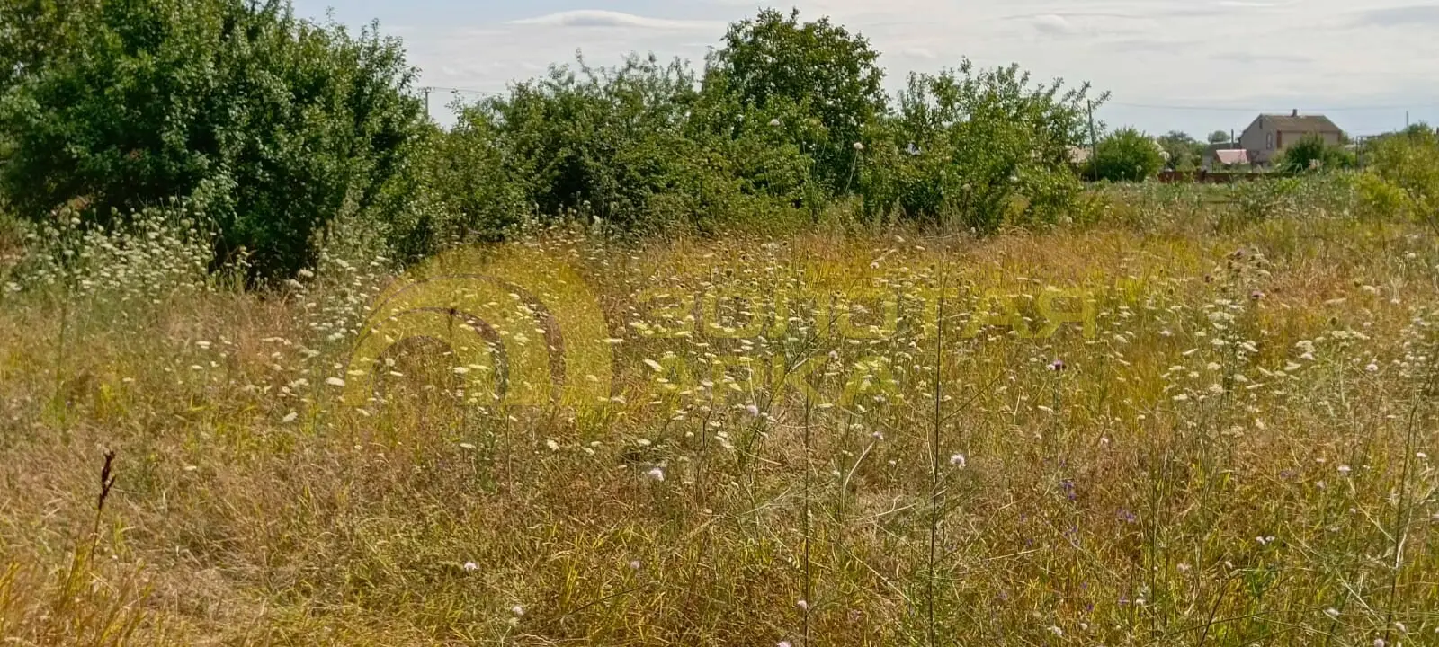 участок
