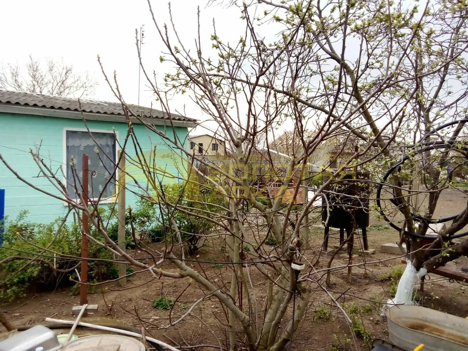 дом