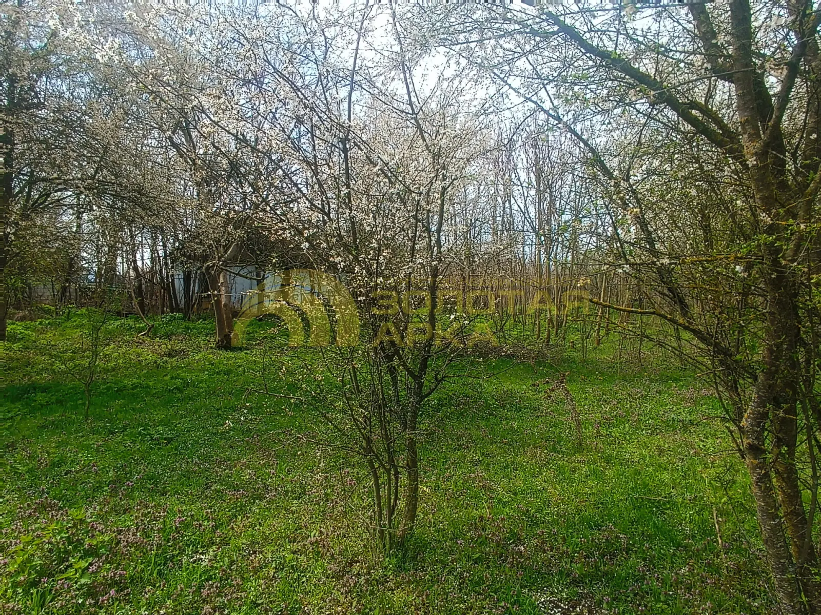 участок