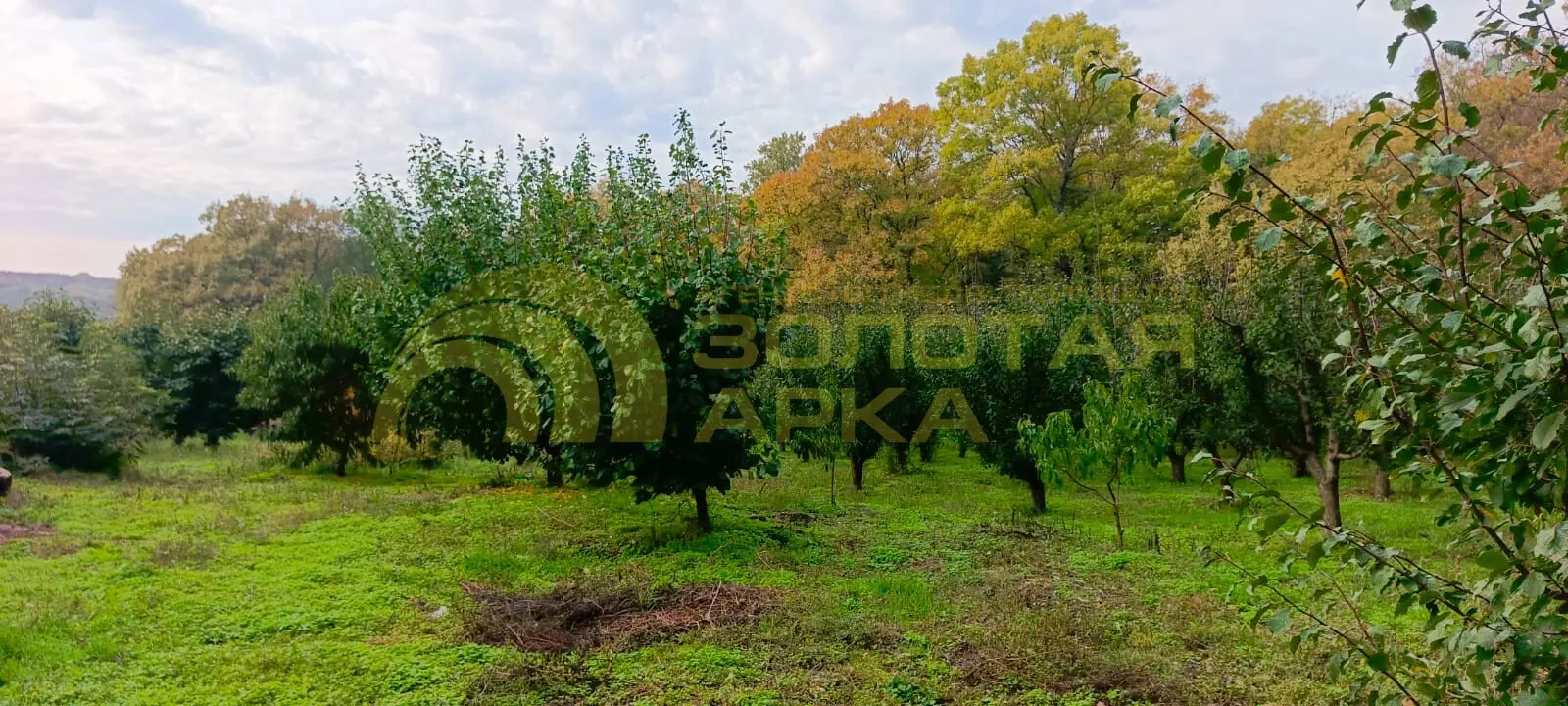 участок