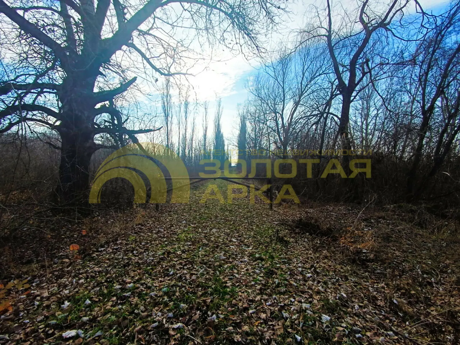 участок