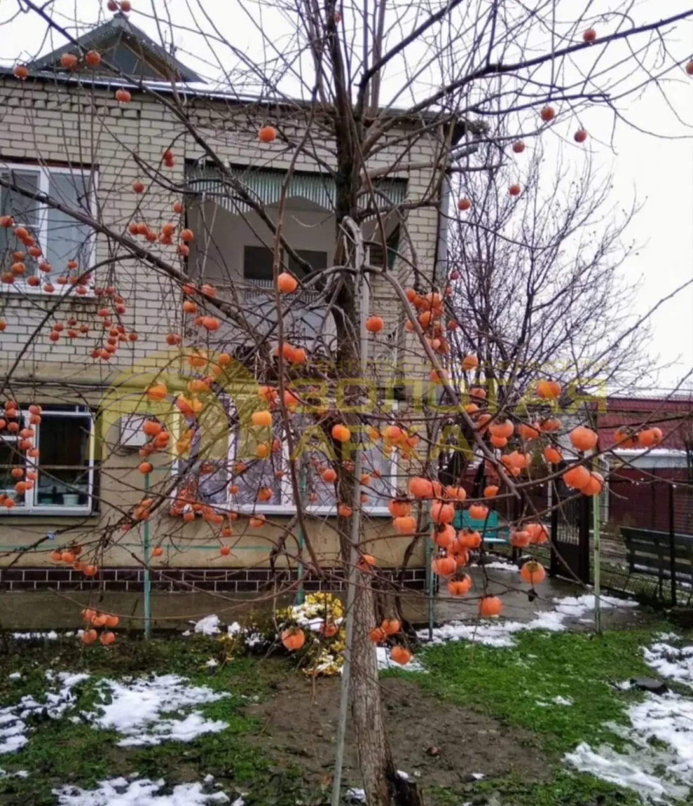 дом