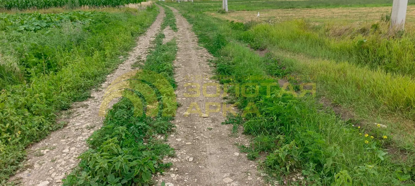участок