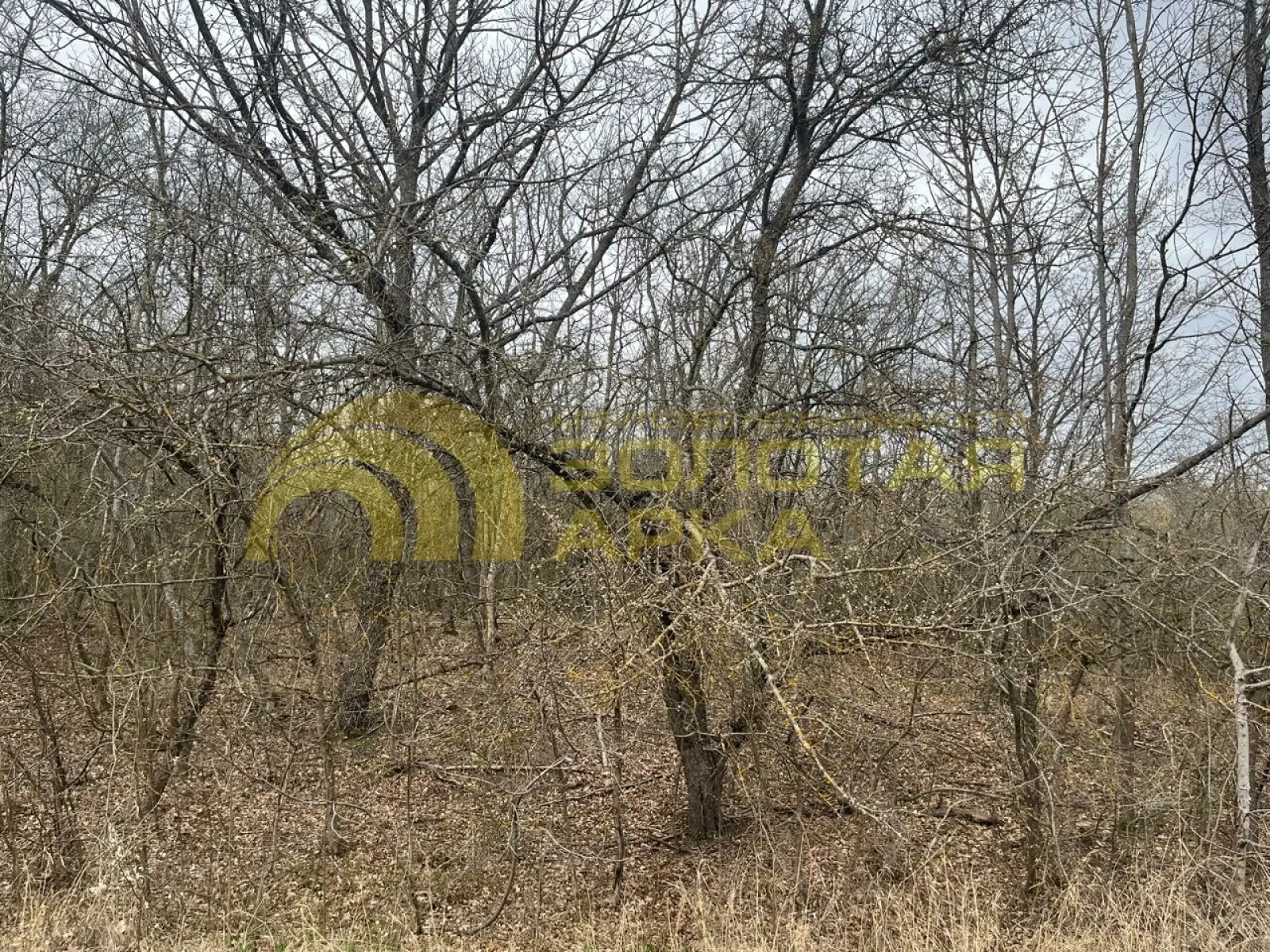 участок