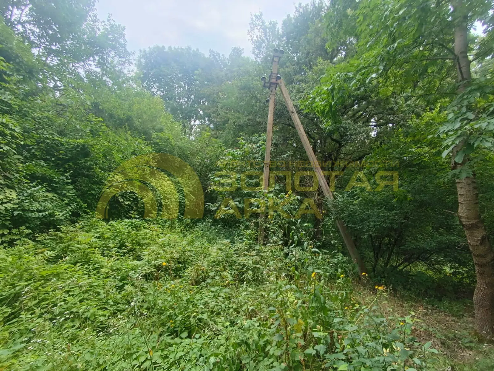 участок