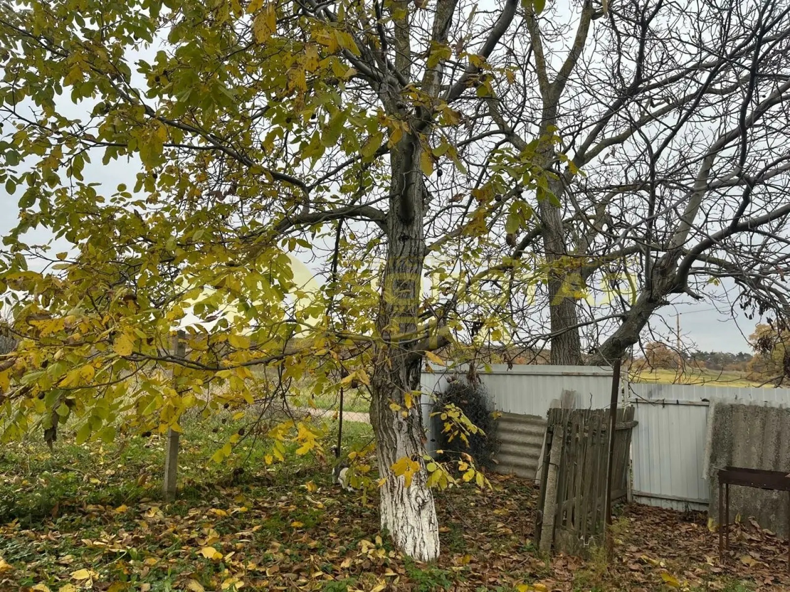дом