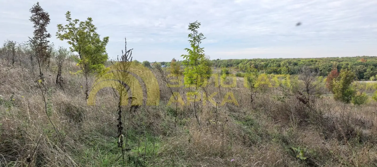 участок