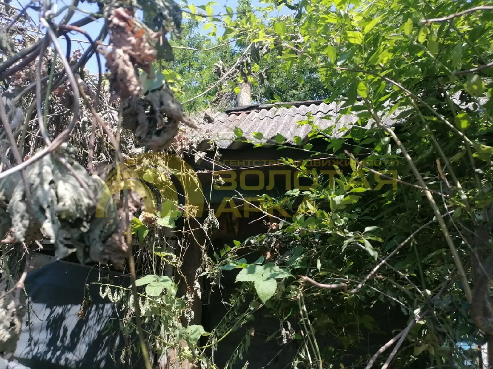 дом
