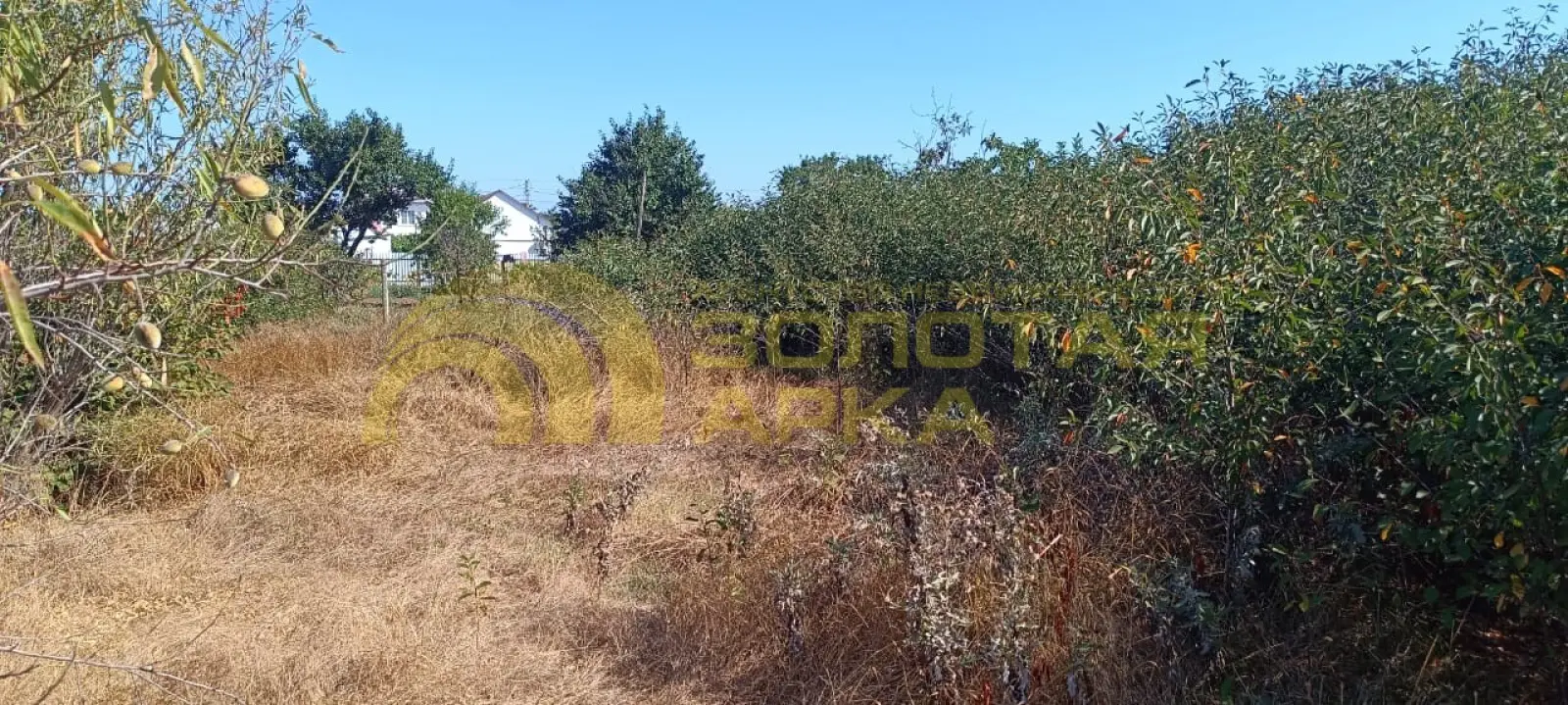 участок